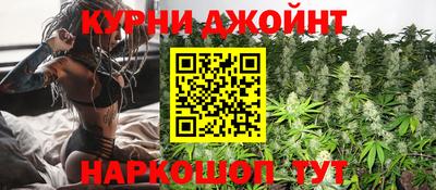 сатива Волгодонск